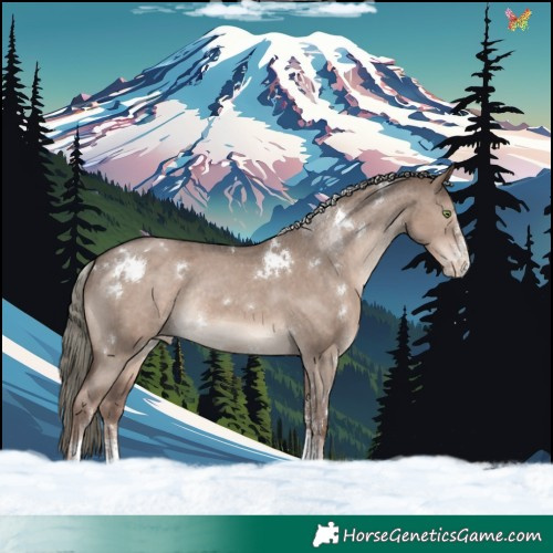 Horse Color:White Spotted Liver Red Dun Mushroom Sabino Appaloosa Rabicano 