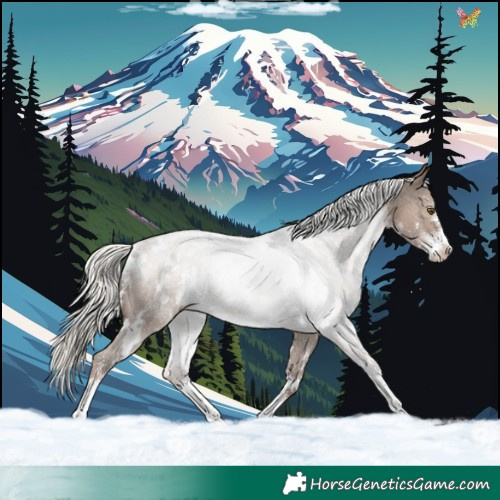 Horse Color:White Spotted Liver Red Dun Mushroom Sabino Appaloosa Rabicano