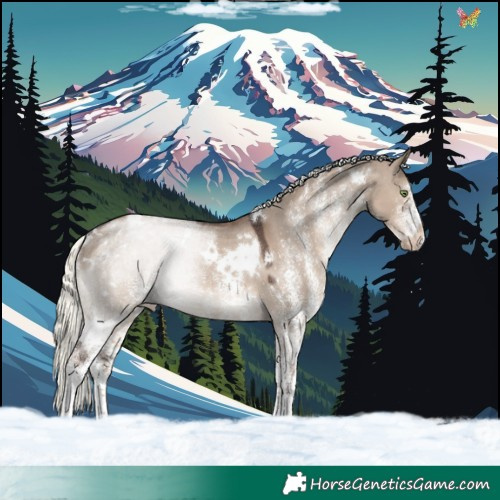Horse Color:White Spotted Liver Red Dun Mushroom Appaloosa Rabicano