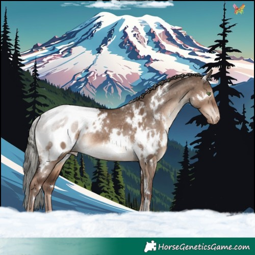 Horse Color:White Spotted Liver Red Dun Mushroom Blanket Rabicano 