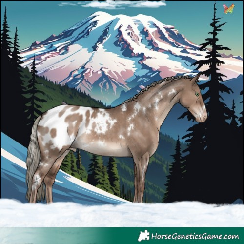 Horse Color:White Spotted Liver Red Dun Mushroom Blanket Rabicano 