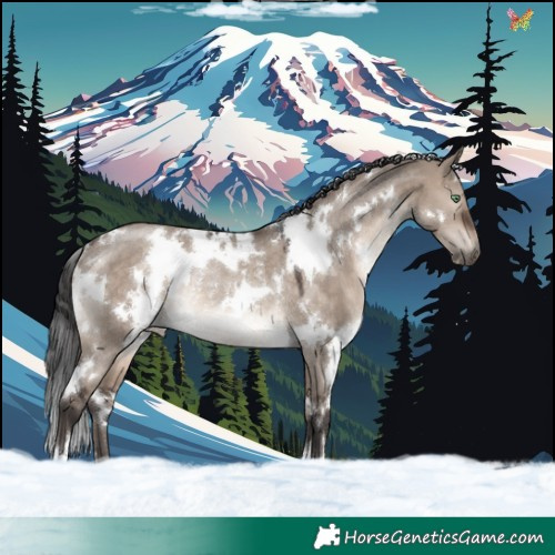 Horse Color:White Spotted Brown Dun Mushroom Rabicano 