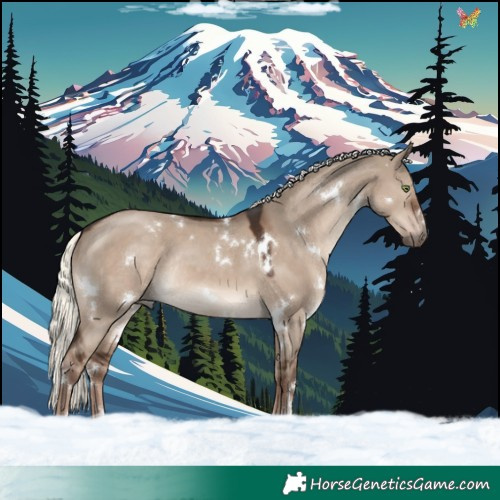 Horse Color:White Spotted Liver Red Dun Mushroom Rabicano 