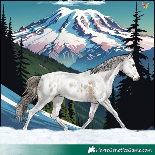 Horse Color:Gray White Spotted Liver Red Dun Sabino Blanket Rabicano 