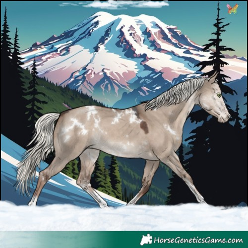 Horse Color:White Spotted Liver Red Dun Mushroom Sabino 