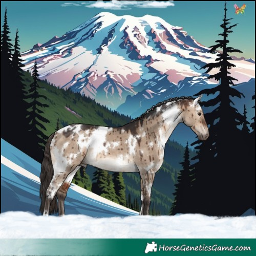Horse Color:White Spotted Bay Dun Brindle 