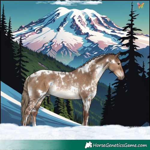 Horse Color:White Spotted Liver Red Dun Rabicano 