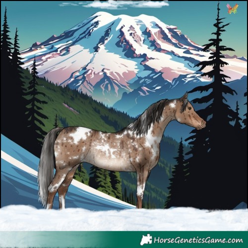 Horse Color:White Spotted Liver Red Dun Rabicano Brindle 