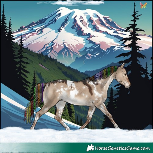Horse Color:Painted White Spotted Liver Red Dun 