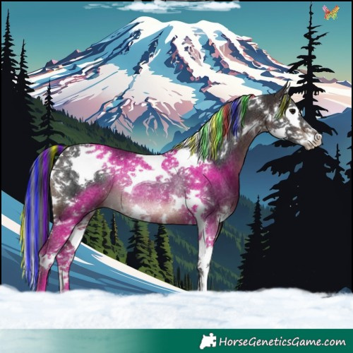 Horse Color:Painted Brown Splash Tobiano Rabicano