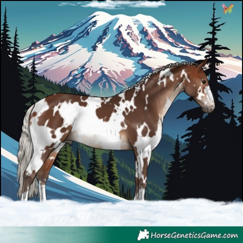 Horse Color:White Spotted Silver Brown 