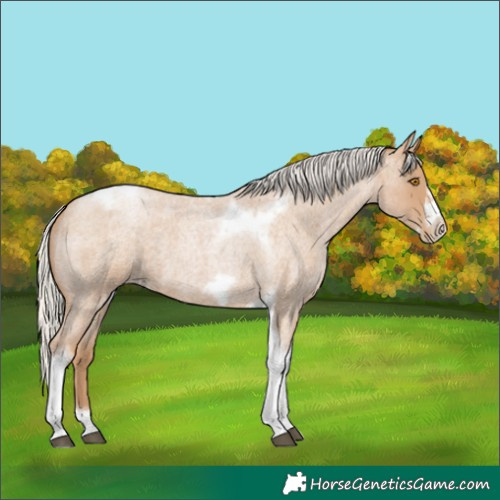 Horse Color:Silver Blue Roan Pearl Tobiano Frame