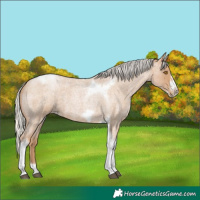 Horse Color:Silver Blue Roan Pearl Tobiano Frame 