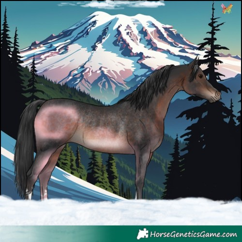 Horse Color:Brown Rabicano 