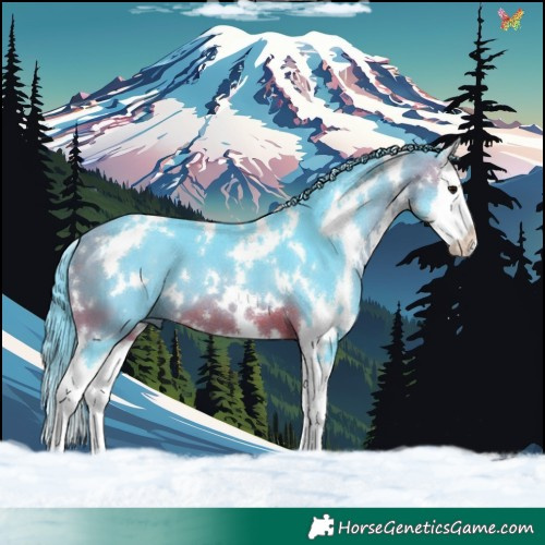 Horse Color:Watercolor White Spotted Brown Splash 