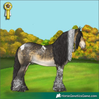 Horse Color:Buckskin Mushroom Tobiano 