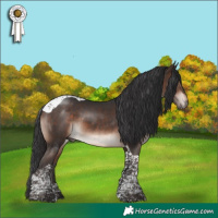 Horse Color:Bay Mushroom Tobiano