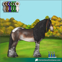 Horse Color:Bay Mushroom Tobiano