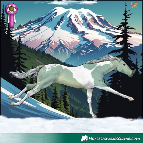 Horse Color:Watercolor Silver Brown Dun Tobiano 