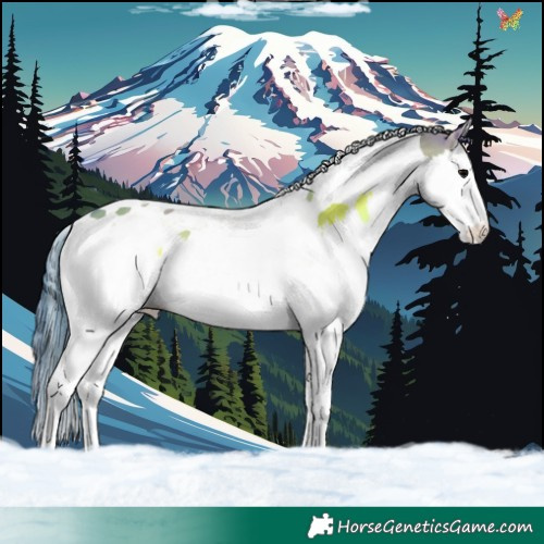 Horse Color:Watercolor Grullo Onyx Splash Tobiano 