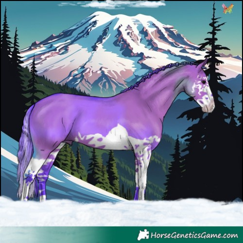 Horse Color:Watercolor Grullo Splash 