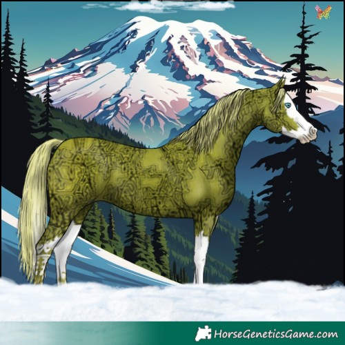 Horse Color:Watercolor Chestnut Ice Splash