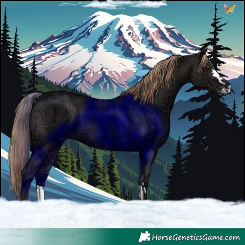 Horse Color:Liver Chestnut Ice 