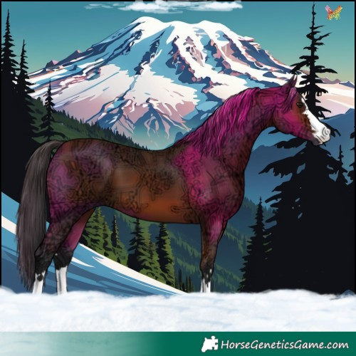 Horse Color:Bay Ice 
