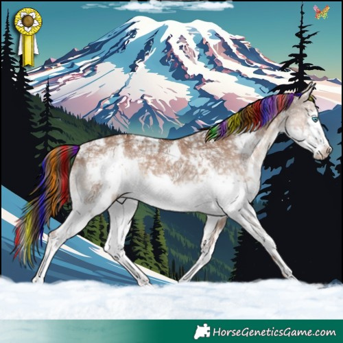 Horse Color:Painted White Spotted Liver Red Dun Ice Splash Frame Rabicano 