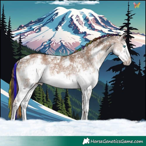 Horse Color:Painted White Spotted Liver Red Dun Ice Splash Frame Rabicano 