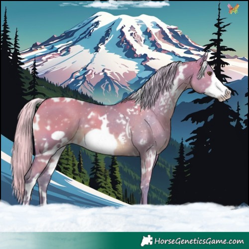 Horse Color:Watercolor White Spotted Silver Brown Dun Frame 