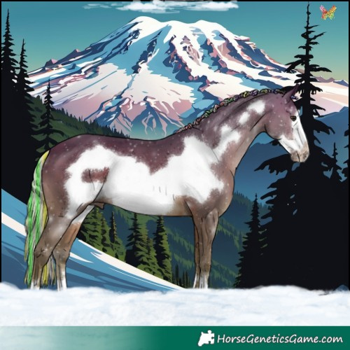 Horse Color:Painted Silver Brown Frame 