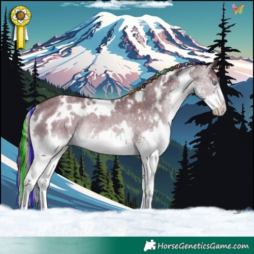 Horse Color:Painted White Spotted Liver Red Dun Splash Rabicano 