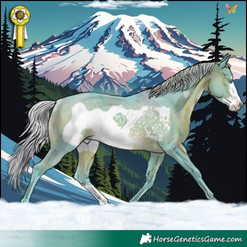 Horse Color:Watercolor Silver Brown Frame Rabicano