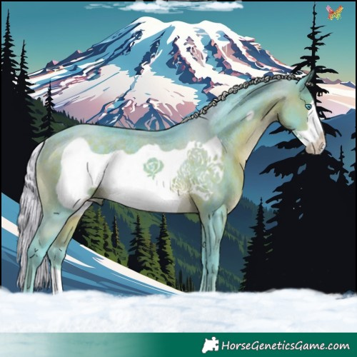 Horse Color:Watercolor Silver Brown Frame Rabicano 