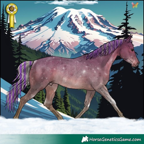 Horse Color:Painted Silver Black Rabicano 