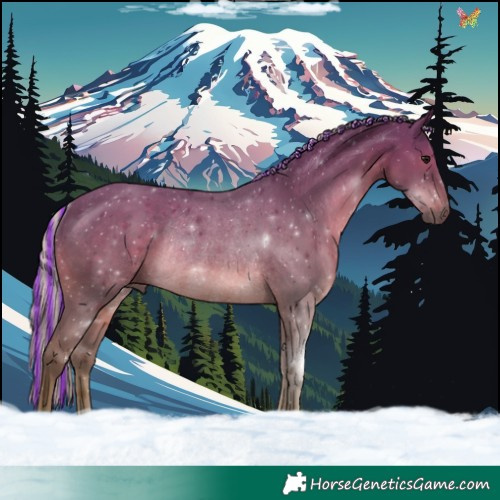 Horse Color:Painted Silver Black Rabicano 