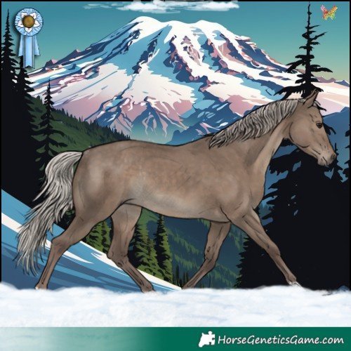 Horse Color:Silver Grullo Rabicano 