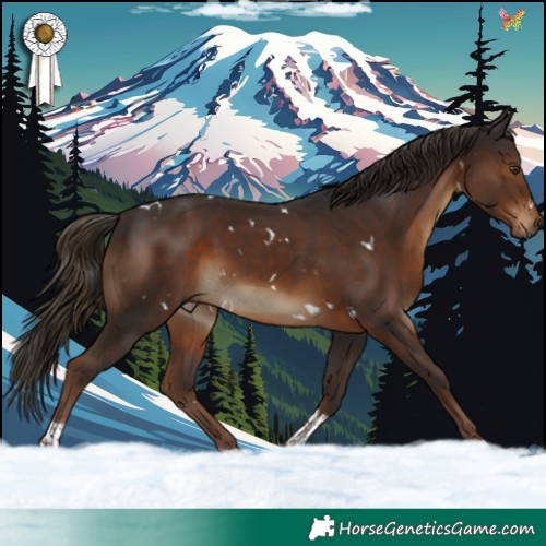 Horse Color:White Spotted Liver Chestnut Tobiano