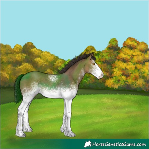 Horse Color:White Spotted Sable Champagne