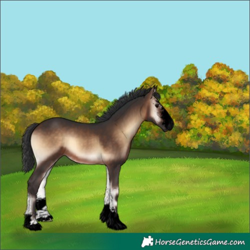 Horse Color:Void Brown Onyx Sabino 