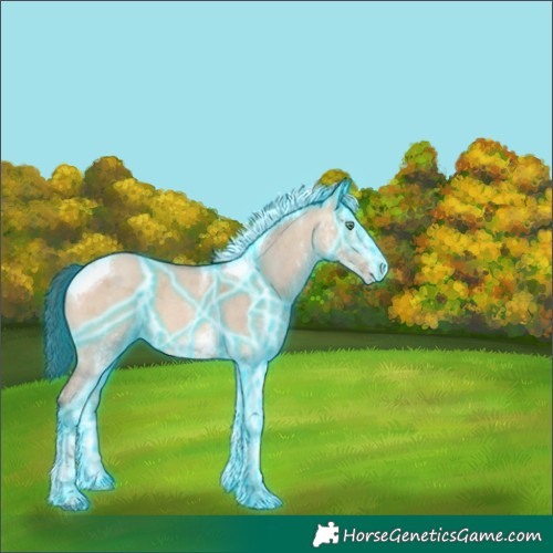 Horse Color:Thunderstruck White Spotted Amber Champagne Dun Tobiano 