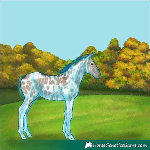 Horse Color:Painted Thunderstruck Liver Red Dun Tobiano Near Leopard 