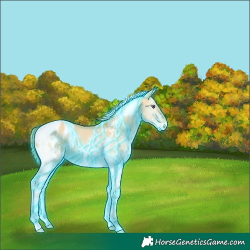 Horse Color:Thunderstruck Liver Red Dun Chinchilla Splash Tobiano Appaloosa