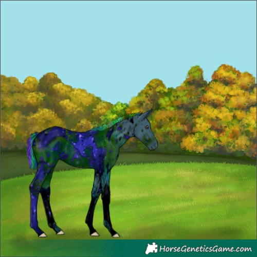Horse Color:ERROR: UNKNOWN ANOMALY