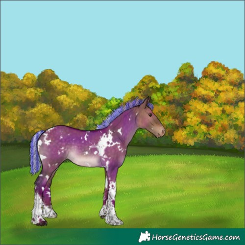 Horse Color:Painted White Spotted Silver Brown Dun Tobiano Appaloosa Rabicano 