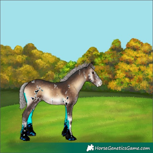 Horse Color:White Spotted Silver Brown Onyx Appaloosa Rabicano 