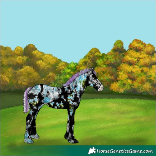 Horse Color:Painted White Spotted Silver Black Sabino Appaloosa 