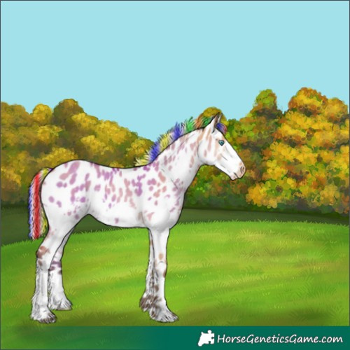 Horse Color:Painted Silver Bay Dun Splash Appaloosa 
