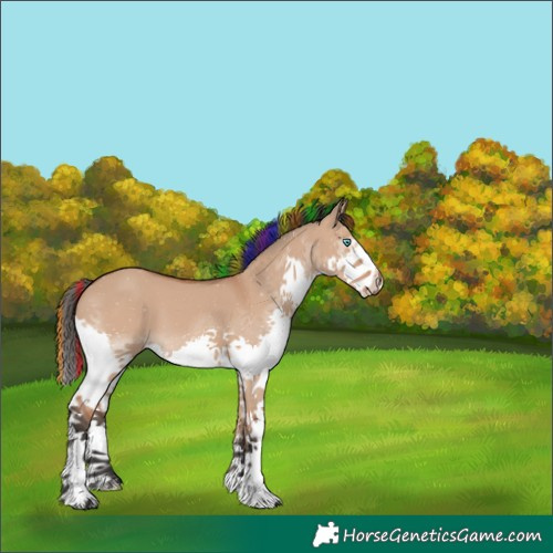 Horse Color:Painted Bay Dun Splash 